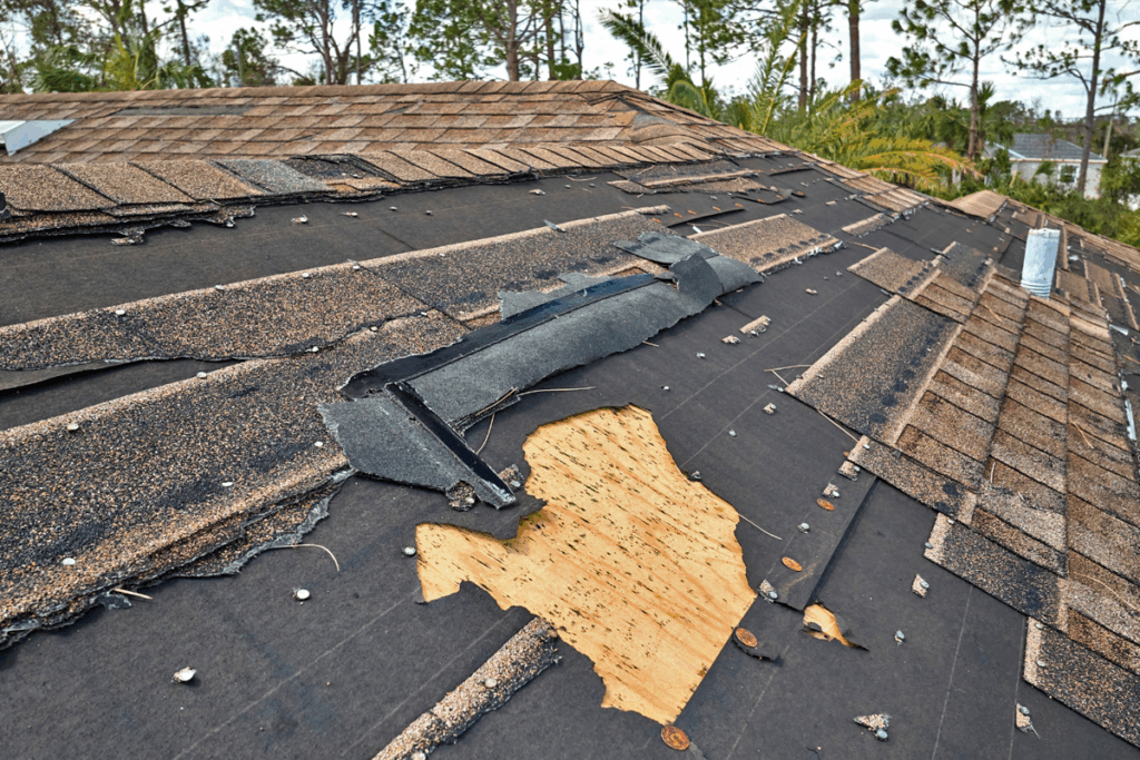 Roof Repair Replacement Florida