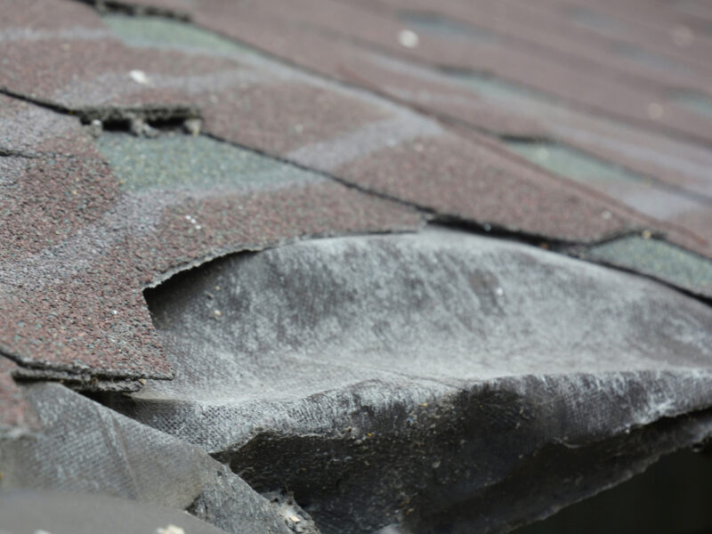 Florida Roofs Fail Prematurely and How to Prevent It
