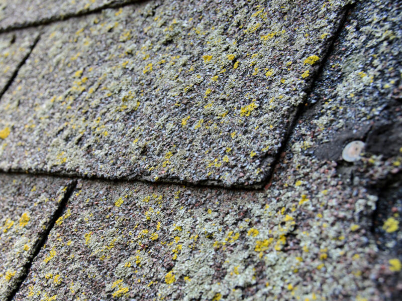 Roof Inspections Are Critical for Older Homes