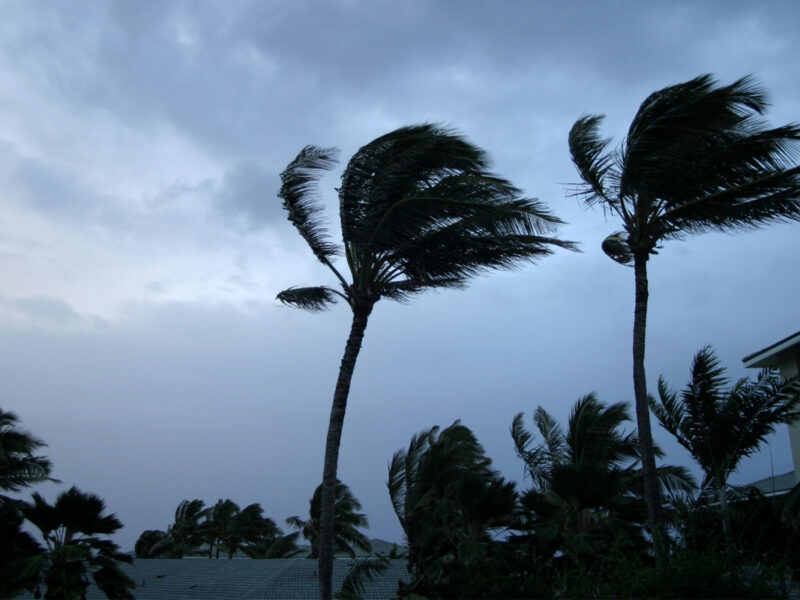 Prepare Your Roof for Hurricane Season in Florida