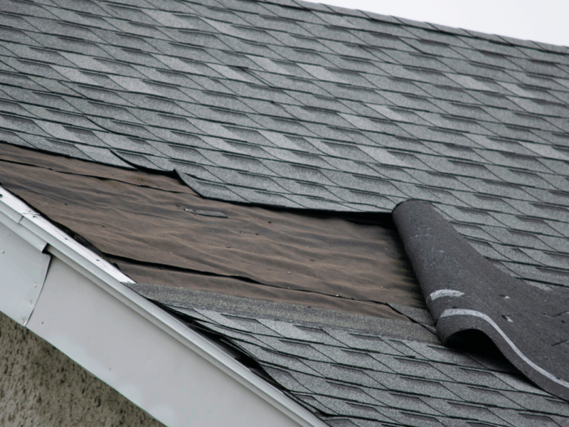 Roof with Preventive Repairs